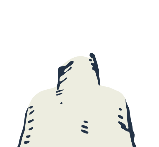 freudenbaer1-02