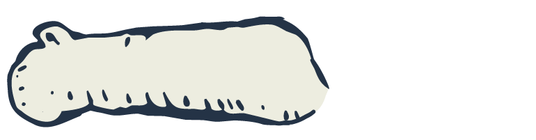 freudenbaer3